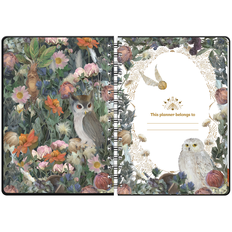 Жалаңаш әйелдердің үлкен фотосуреттері Ағайындылардың порносынан топтық