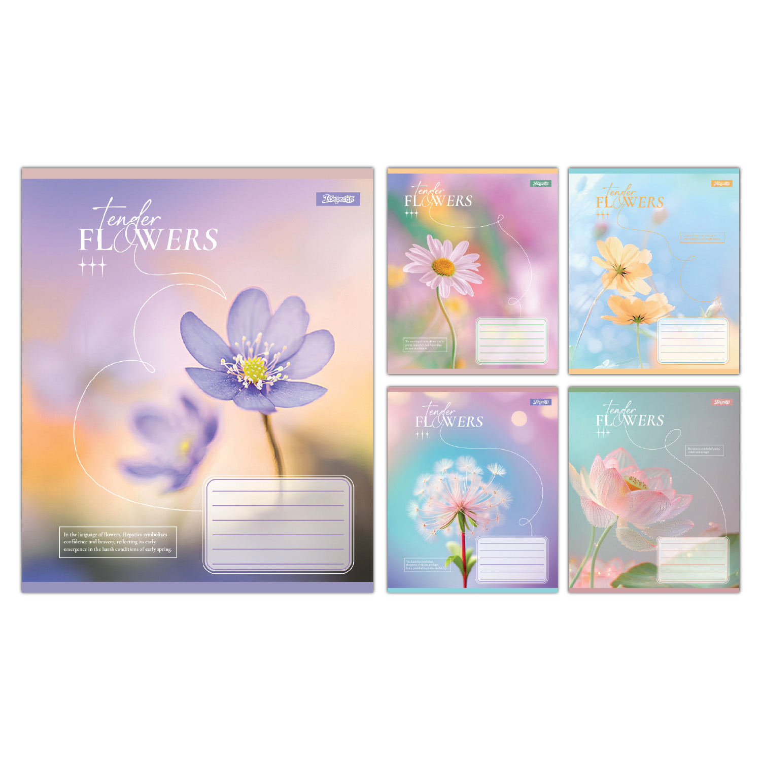 Зошит А5/12 арк кліт 1В Tender Flowers, 768071