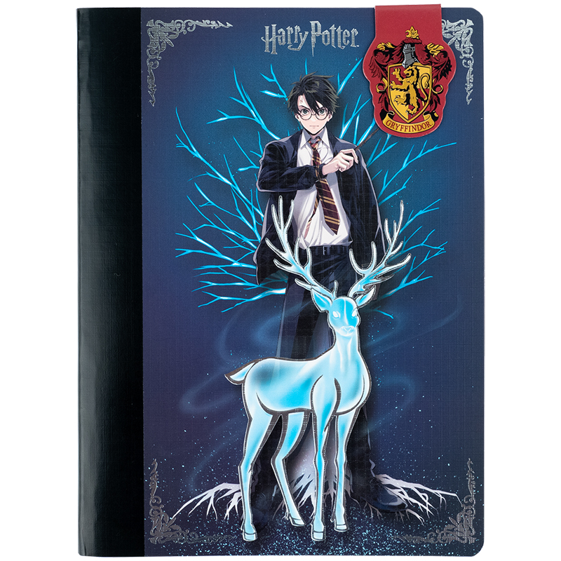 Блокнот з магнітною закладкою, А5, 60 арк., кліт., Harry Potter HP25-192 Kite