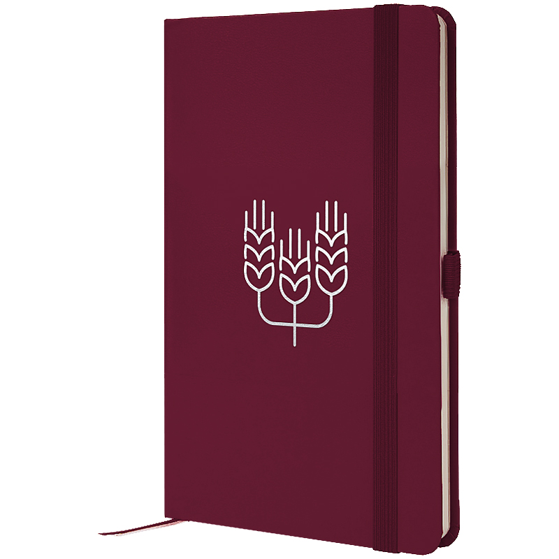 Книга записна Partner, 125*195, 96арк, кліт, винна, Колоски, 8201-46-8-A