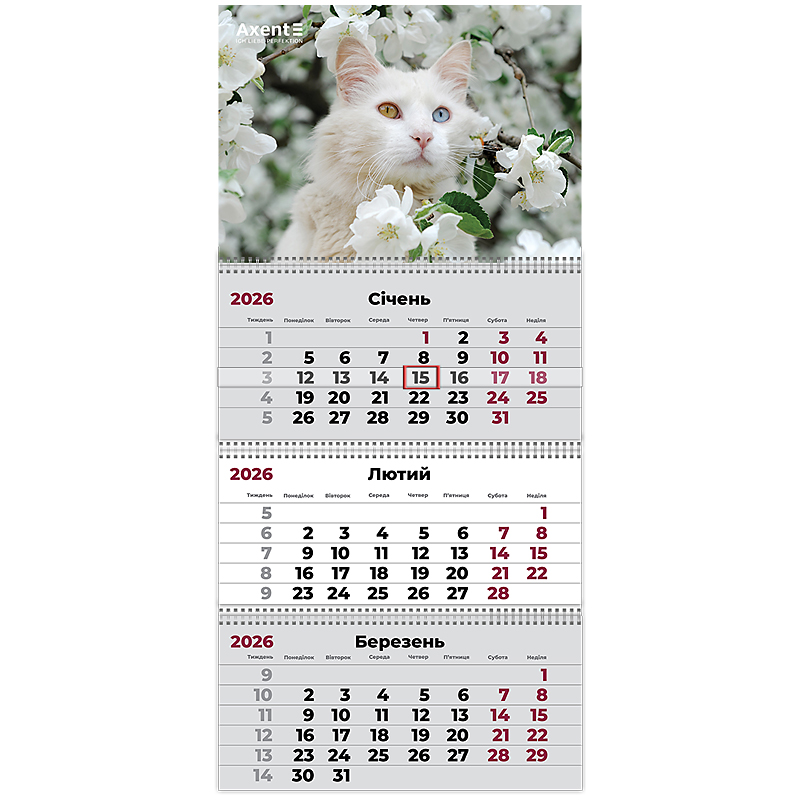 Календар настінний квартальний 2026 р.,3 пр. Cats 3, 8803-26-15-A