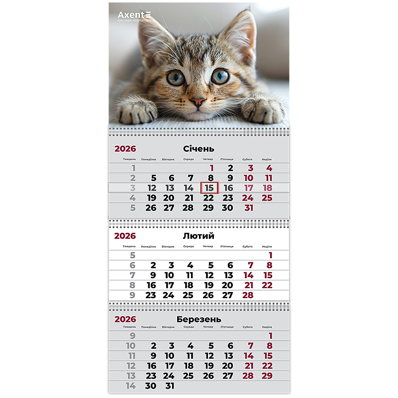Календар настінний квартальний 2026 р.,3 пр. Cats 1, 8803-26-13-A