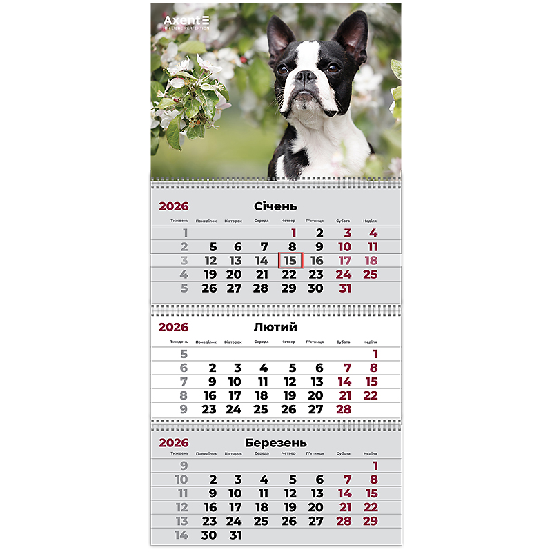Календар настінний квартальний 2026 р.,3 пр. Dogs 2, 8803-26-17-A
