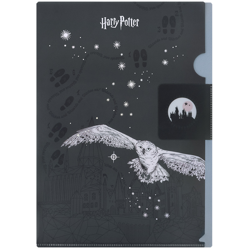 Папка-куточок з клапаном А4, HP25-248-2 Harry Potter