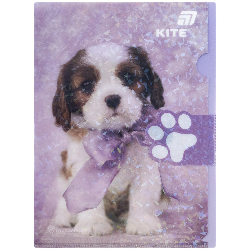Папка-куточок з клапаном А4, R25-248 Rachael Hale 