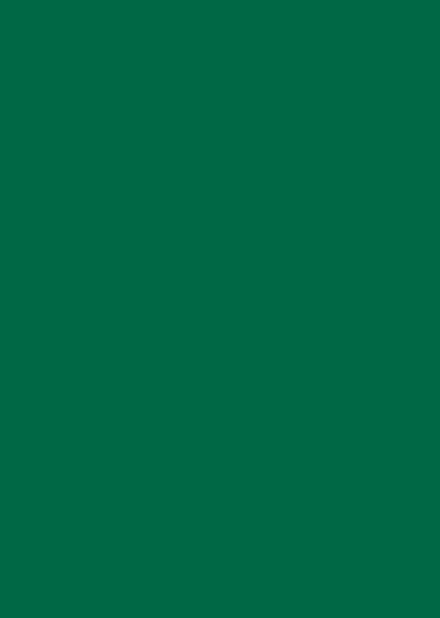 Папір для дизайну Tintedpaper А4 (21*29,7см), №58 хвойно-зелений, 130г/м2, без текстури, Folia