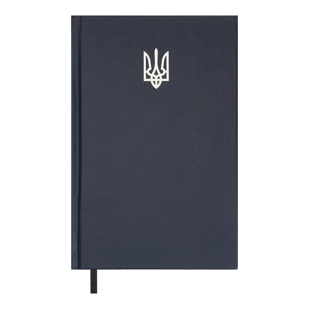 Щоденник недатований AIRY, A5, синій, бумвініл, 336 стор, BM.20731-02