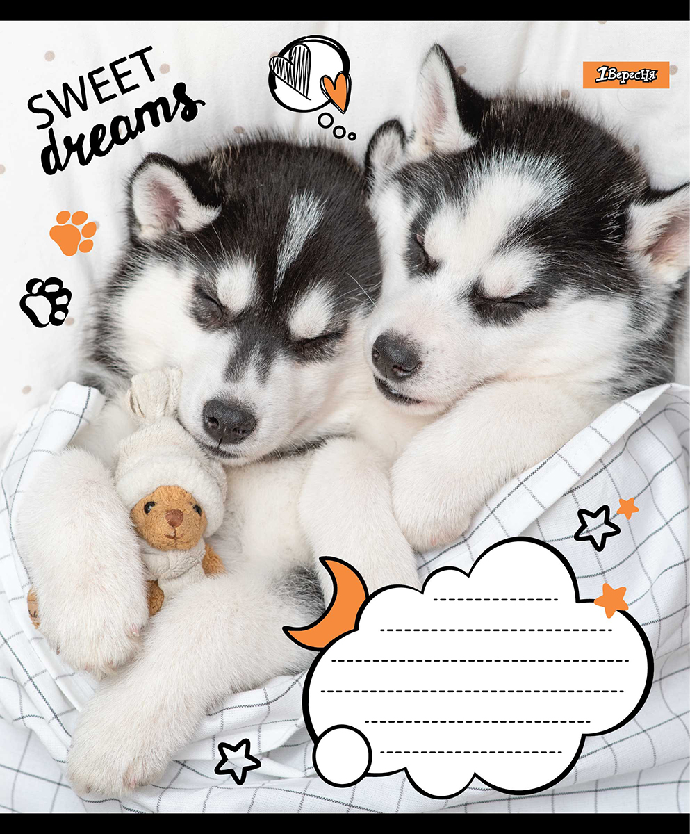 Зошит А5/24 арк лінія 1В Sweet dreams, 765905